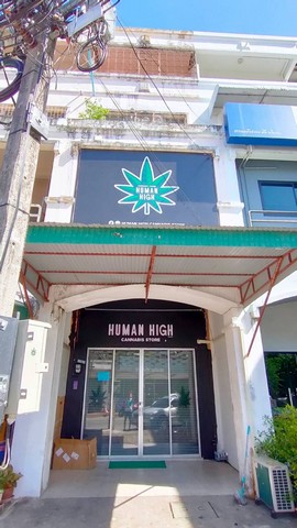 For Rent : Phuket Town, 4-Storey Commercial Builing, 3B 15 SQW