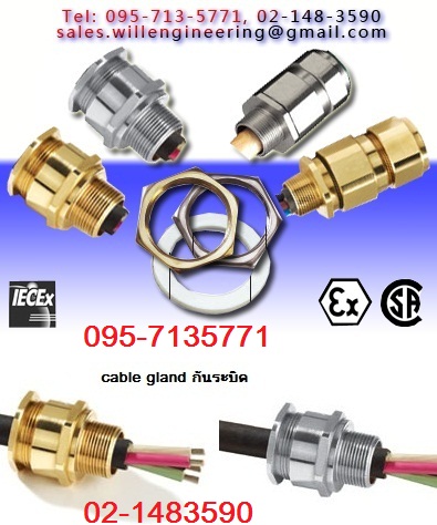 A2F Cable glands CMP,Exd cable glands