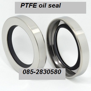 šѹѹ PTFE OIL SEAL